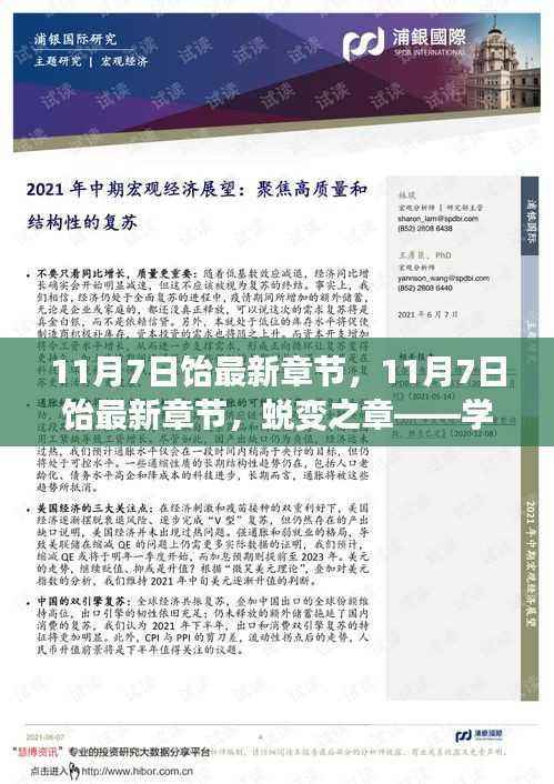 蜕变之章,学习、自信与成就感的奇妙旅程(最新章节更新)