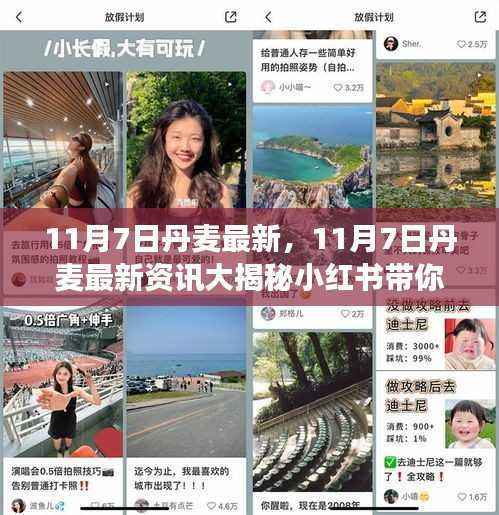 11月7日丹麦最新资讯揭秘,小红书带你领略北欧风情的新鲜事