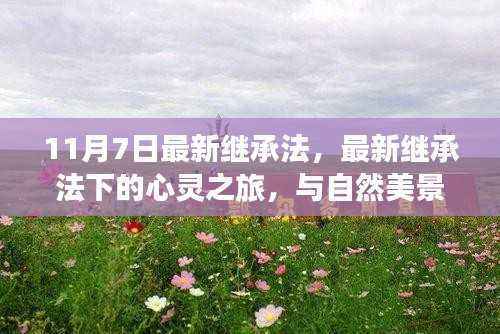 最新继承法下的心灵与自然美景之旅,继承与缘分的交织