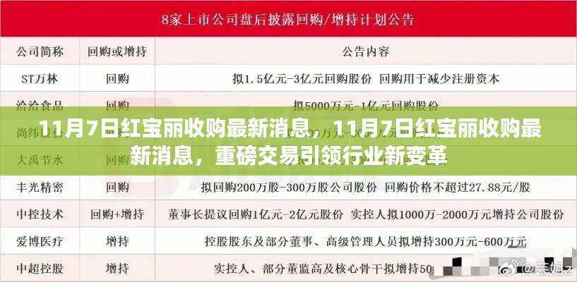 重磅！红宝丽收购最新消息揭秘，引领行业新变革！