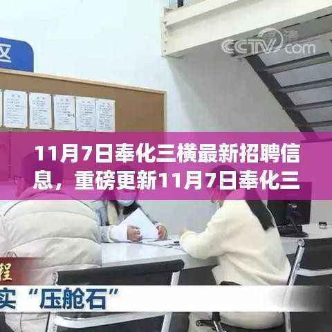 11月7日奉化三横最新招聘信息大揭秘,优质岗位等你来挑战!