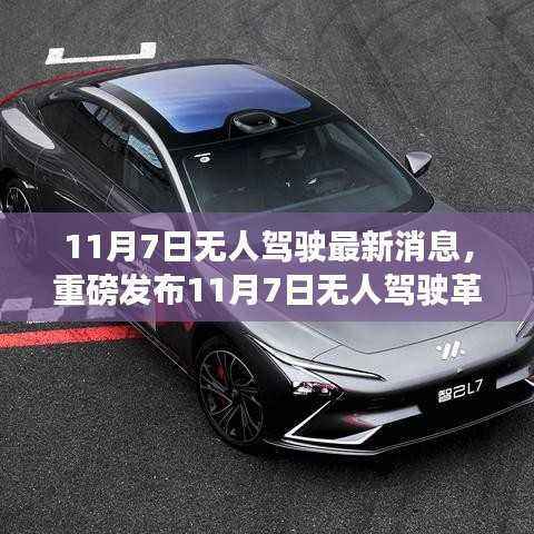 考级报名 第551页