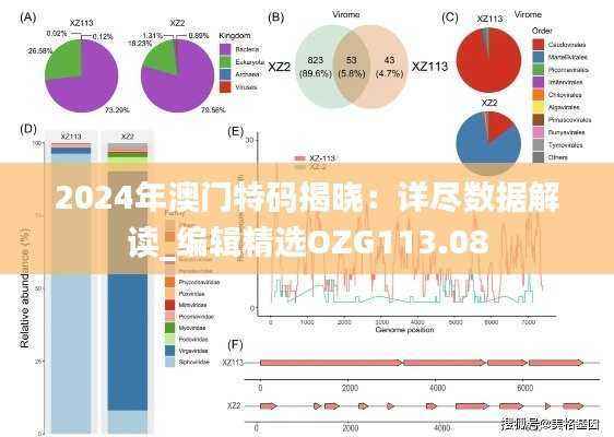 2024年澳门特码揭晓：详尽数据解读_编辑精选OZG113.08