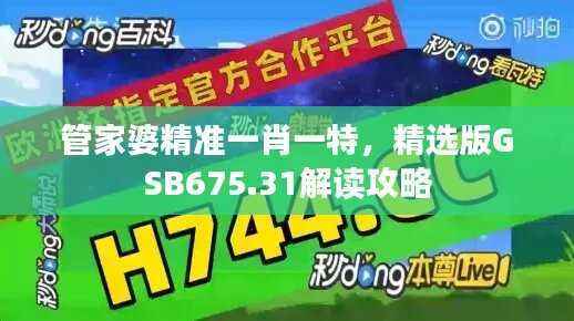 管家婆精准一肖一特,精选版GSB675.31解读攻略