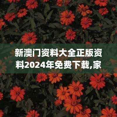 眉飞色舞 第47页