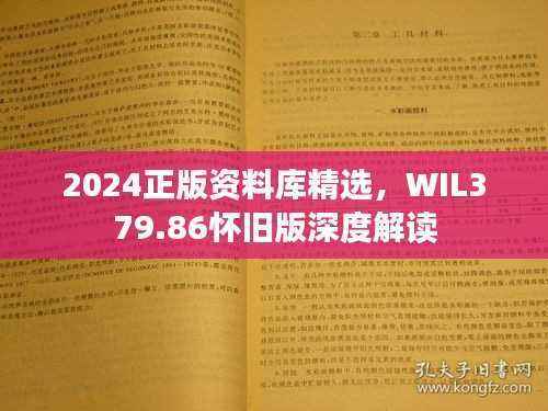 2024正版资料库精选,WIL379.86怀旧版深度解读