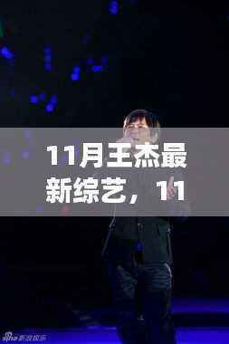 11月王杰综艺节目热议,多元视角下的观点碰撞与个人立场阐述