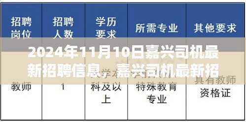 嘉兴司机最新招聘信息及行业背景深度解析（2024年11月）