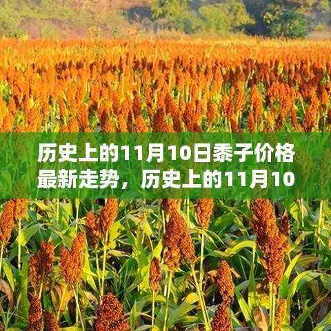 走马观花 第39页