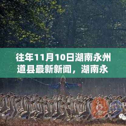 湖南永州道县新闻聚焦,11月10日历史变迁与观点探讨的最新报道