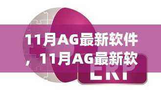 11月AG最新软件深度解析,利弊与个人立场探讨
