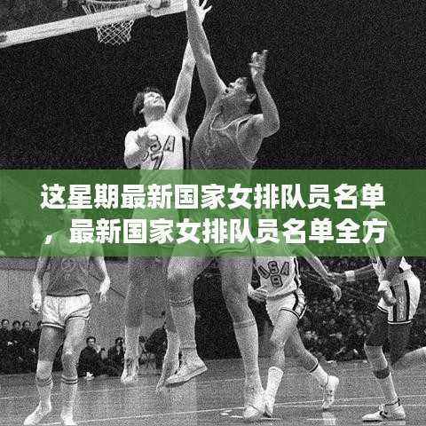 最新国家女排队员名单全方位解读及深度分析