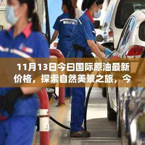 11月13日国际原油最新价格,启程宁静自然美景之旅的微笑启程背后的力量