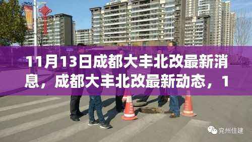 成都大丰北改最新动态,11月13日的脉搏与回响