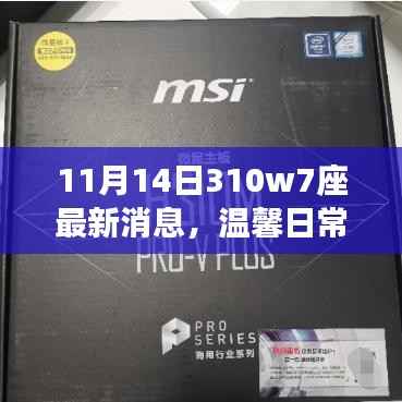 11月14日310w7座最新动态,温馨日常与不解之缘