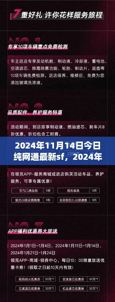 2024年纯网通最新SF攻略指南,从入门到精通的技能全步骤