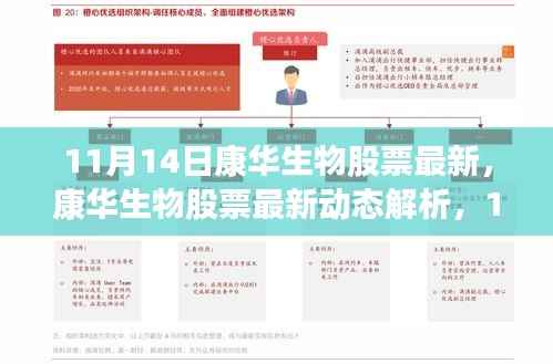 康华生物股票最新动态解析,机遇与挑战并存于11月14日的市场之中
