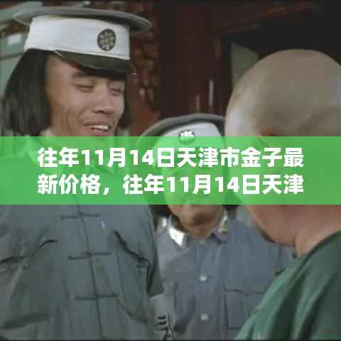 往年11月14日天津市金子价格回顾与趋势分析,最新价格及展望