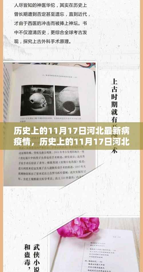 历史上的11月17日河北疫情状况,全面指南与应对策略及防护知识科普