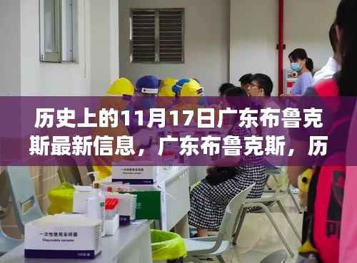 广东布鲁克斯的特殊日期,历史上的变迁与最新视角解读的启示