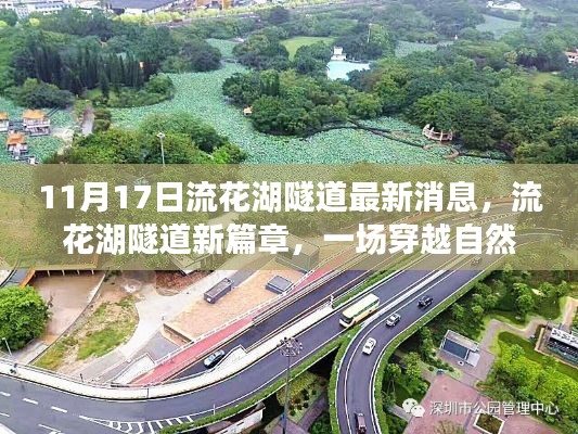 流花湖隧道新进展,启程穿越自然的奇妙旅行!