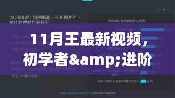 初学者与进阶用户必备，11月王最新视频学习教程，掌握新技能的步骤指南
