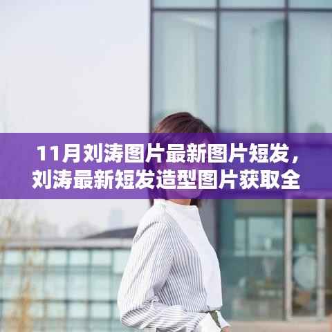 刘涛最新时尚短发造型全攻略,获取最新图片与DIY步骤详解