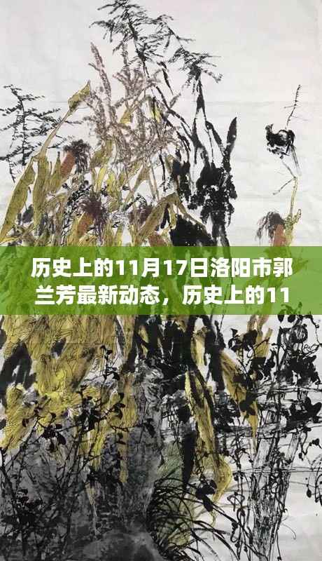 多维视角下的碰撞,历史上的11月17日与洛阳市郭兰芳最新动态