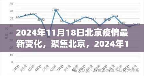 北京疫情最新动态解析,聚焦深度变化,关注疫情进展报告(2024年11月18日)