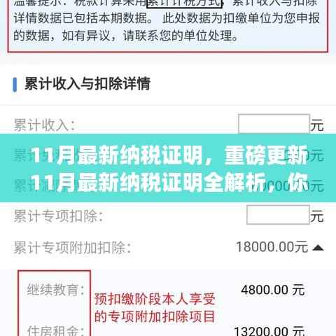 11月最新纳税证明全解析，纳税记录一目了然