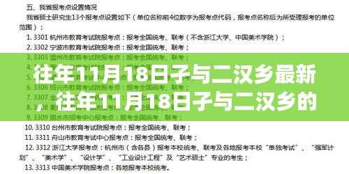 往年11月18日二汉乡的新发展洞察与回顾
