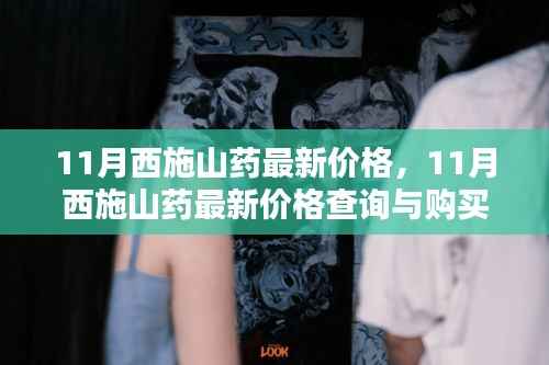 11月西施山药最新价格及购买指南