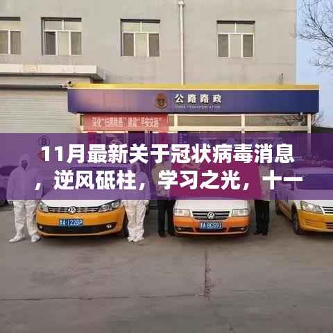 逆风砥柱,学习之光,十一月最新冠状病毒消息下的励志篇章