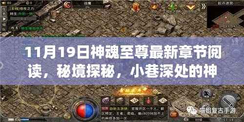 秘境探秘,神魂至尊奇幻阅读角落的最新章节阅读(11月19日)