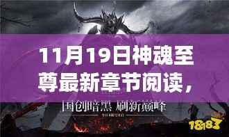 秘境探秘,神魂至尊奇幻阅读角落的最新章节阅读(11月19日)