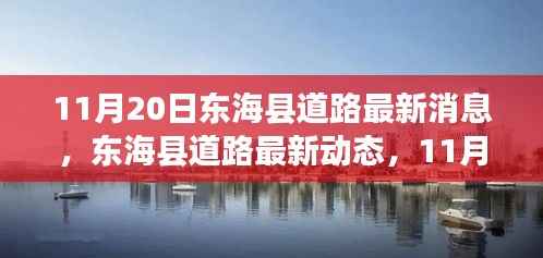11月20日东海县道路最新动态及更新消息概览