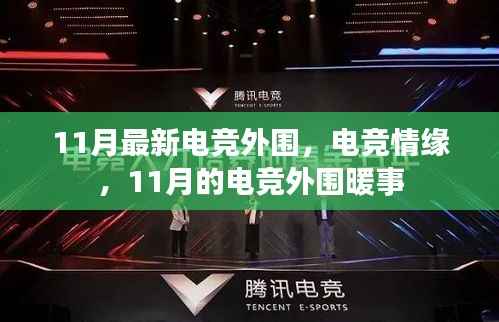 11月电竞情缘,最新外围动态与暖心事记