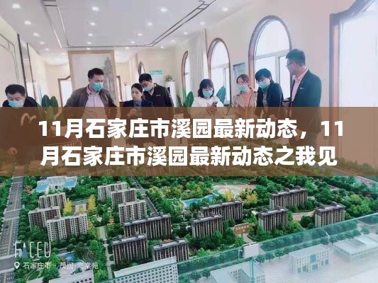 11月石家庄市溪园最新动态解析,某某观点下的深度阐述