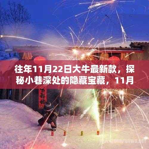 探秘小巷深处的隐藏宝藏,11月22日大牛最新款特色小店揭秘