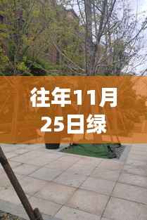 绿地江南华府隐秘小巷的特色小店,最新动态揭秘