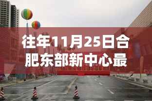 合肥东部新中心隐秘小巷的特色风情,一家小店的奇遇记揭秘最新消息