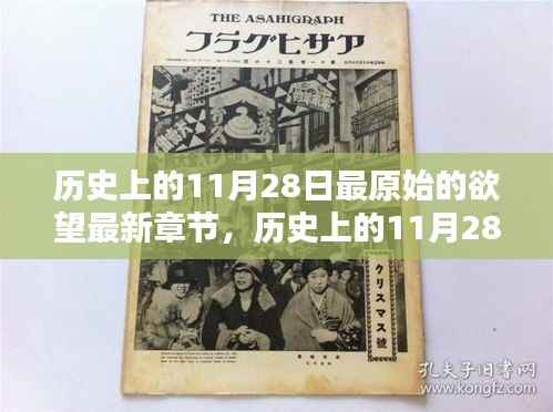 张牙舞爪 第16页