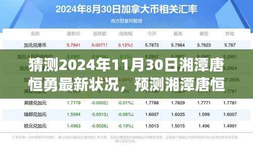 多维度视角下的探讨与解析,湘潭唐恒勇在2024年11月30日的最新状况预测与解析