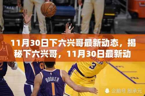 揭秘下六兴哥,最新动态揭晓(11月30日更新)
