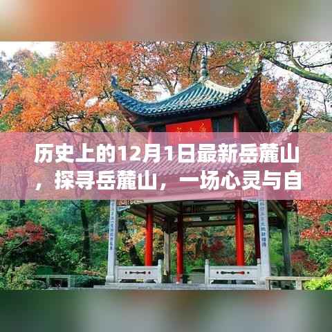 探寻岳麓山,心灵与自然的美妙邂逅在历史的最新篇章中展开