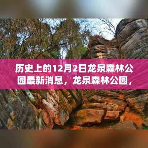 龙泉森林公园,探寻自然美景与内心宁静的和谐之旅(最新消息报道)