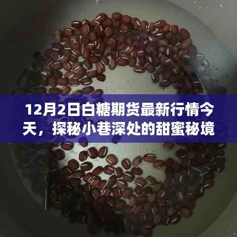 联系我们 第311页