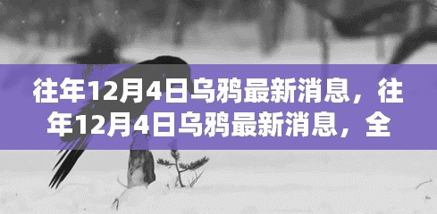 往年12月4日乌鸦最新消息,全面指南教你如何掌握乌鸦动态资讯