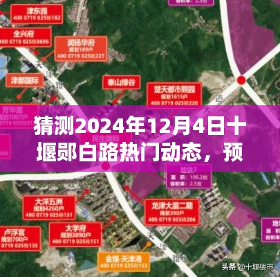 2024年12月4日十堰郧白路热门动态深度解析与预测
