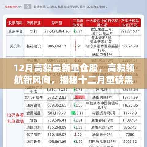 揭秘高毅最新重仓股，智能生活黑科技引领新风向